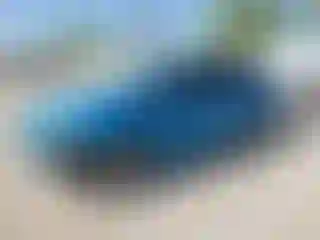 Vehicle Image- 2016 Ford Focus