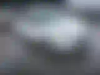 Vehicle Image- 2014 Ford Focus