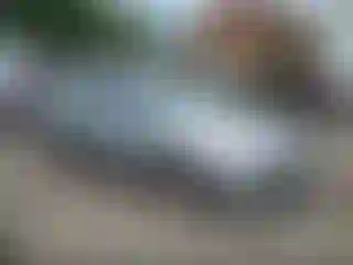 Vehicle Image- 2014 Ford Focus