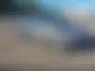 Vehicle Image- 2014 Ford Focus