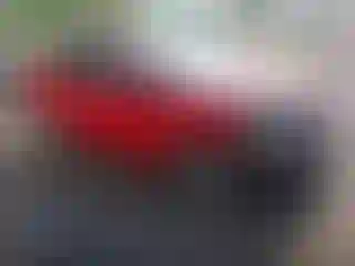 Vehicle Image- 2014 Ford Focus