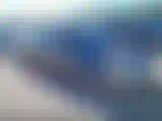 Vehicle Image- 2014 Ford Focus