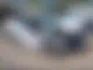 Vehicle Image- 2014 Ford Focus