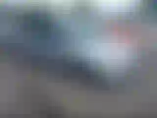 Vehicle Image- 2014 Ford Focus