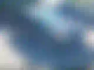 Vehicle Image- 2014 Ford Focus