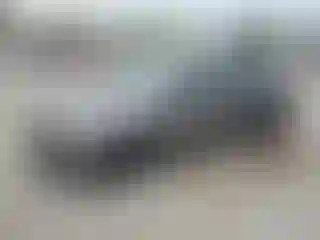 Vehicle Image- 2014 Ford Focus