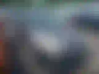 Vehicle Image- 2014 Ford Focus