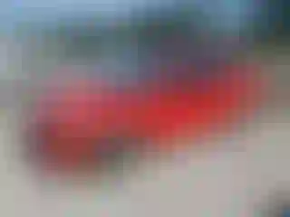 Vehicle Image- 2015 Ford Focus