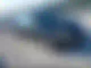Vehicle Image- 2016 Ford Focus