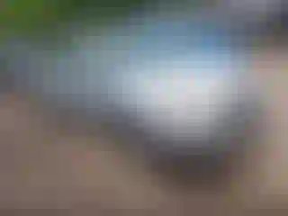 Vehicle Image- 2013 Ford Focus