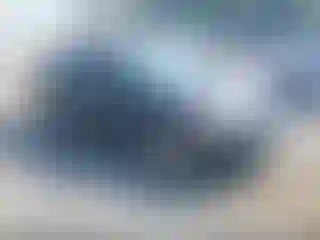 Vehicle Image- 2013 Ford Focus