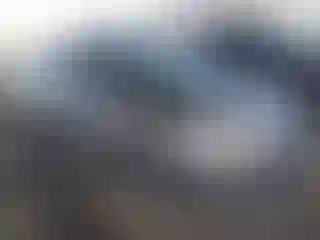 Vehicle Image- 2014 Ford Focus