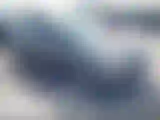 Vehicle Image- 2014 Ford Focus