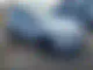 Vehicle Image- 2014 Ford Focus