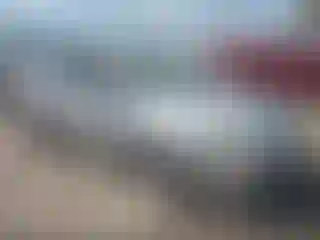 Vehicle Image- 2014 Ford Focus