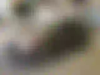 Vehicle Image- 2014 Ford Focus