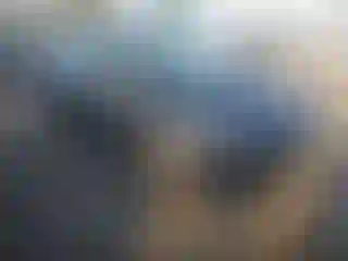 Vehicle Image- 2015 Ford Focus