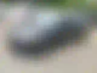 Vehicle Image- 2015 Ford Focus