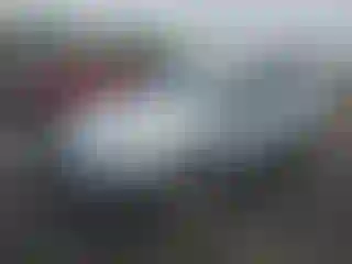 Vehicle Image- 2016 Ford Focus