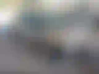 Vehicle Image- 2016 Ford Focus