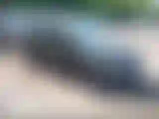 Vehicle Image- 2016 Ford Focus