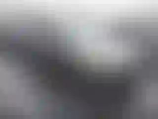 Vehicle Image- 2014 Ford Focus
