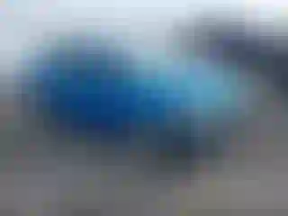 Vehicle Image- 2014 Ford Focus