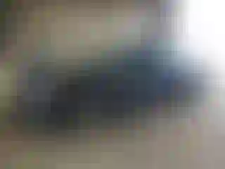 Vehicle Image- 2016 Ford Focus