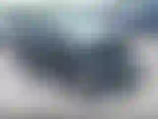 Vehicle Image- 2013 Ford Focus