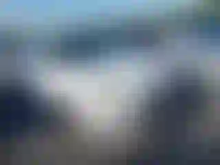 Vehicle Image- 2014 Ford Focus