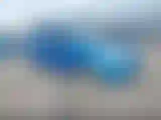 Vehicle Image- 2014 Ford Focus
