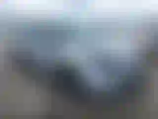 Vehicle Image- 2014 Ford Focus