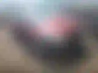 Vehicle Image- 2014 Ford Focus