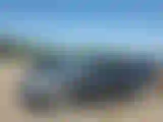 Vehicle Image- 2015 Ford Focus