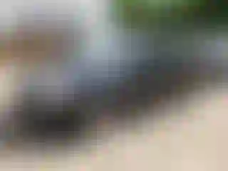 Vehicle Image- 2015 Ford Focus