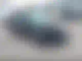 Vehicle Image- 2016 Ford Focus