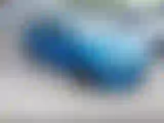 Vehicle Image- 2016 Ford Focus