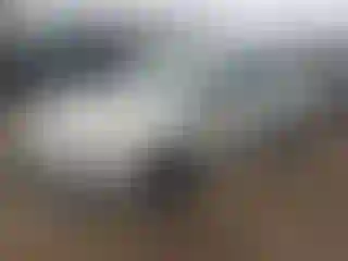 Vehicle Image- 2016 Ford Focus