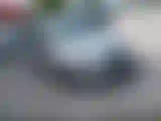 Vehicle Image- 2016 Ford Focus