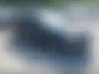 Vehicle Image- 2017 Ford Focus