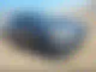 Vehicle Image- 2015 Ford Focus