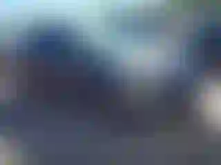 Vehicle Image- 2018 Ford Focus