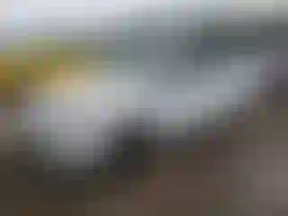 Vehicle Image- 2017 Ford Focus