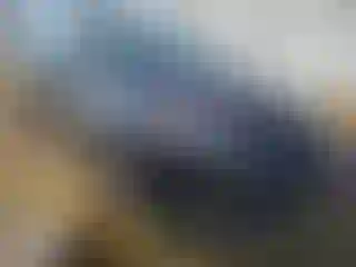 Vehicle Image- 2018 Ford Focus