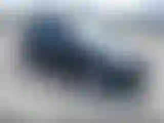 Vehicle Image- 2013 Ford Focus