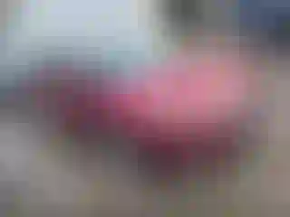 Vehicle Image- 2015 Ford Focus