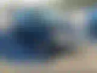 Vehicle Image- 2014 Ford Focus