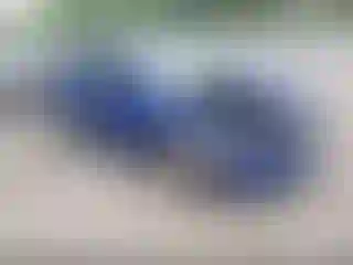 Vehicle Image- 2013 Ford Focus