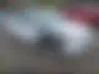 Vehicle Image- 2014 Ford Focus