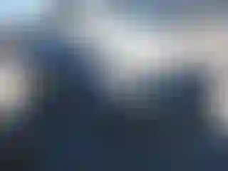 Vehicle Image- 2014 Ford Focus